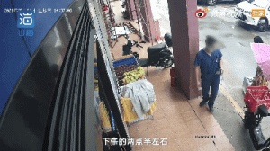 名贵猫王后代只做体检，却被误割蛋蛋，医院：至少它还活着……