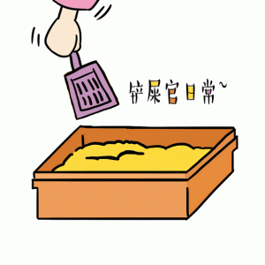 宜兴城管当街捡狗屎！？
