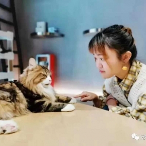 宠物餐厅，真的会“受宠”吗？