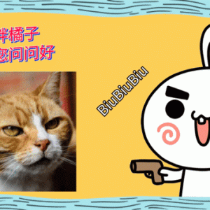 8岁老狗双眼失明，却被主人抛弃，幸有同龄老猫相伴，同甘共苦