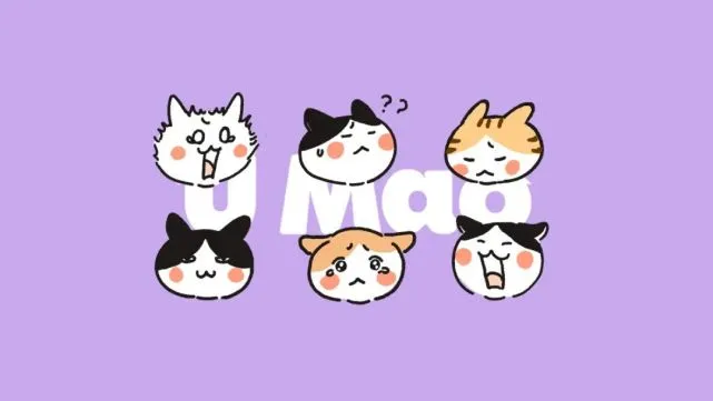 最容易被人类误解的猫咪表情！你能对几个？