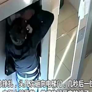俄罗斯一狗狗在电梯外被牵引绳勒脖吊起险丧命 幸被邻居救下