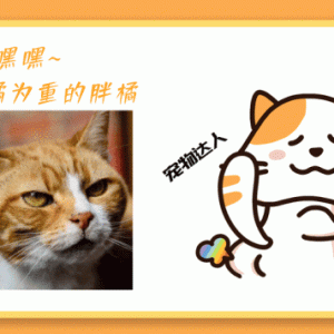 小鹿被车撞伤，遇到暖心金毛，11年友谊长跑，每年还带娃上门认亲