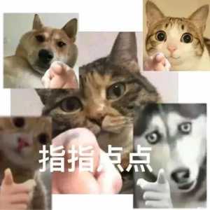 丑东西，闭嘴！丨第195期喵表情