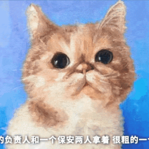 养了6年的猫咪，死后被保安挂在小区门口示众……
