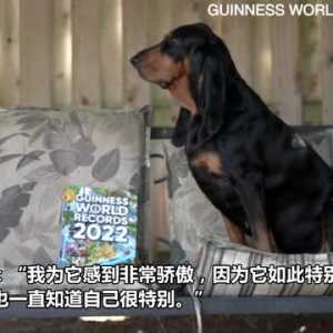 美国宠物狗打破最长狗耳朵世界纪录 每只耳朵长34厘米