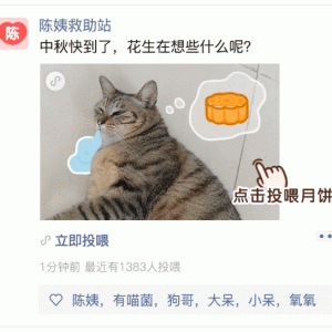 日本博主吃掉自己养了一百天的宠物猪，全网暴怒！