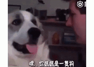 狗知道自己是狗吗？不，它以为自己是祖宗！
