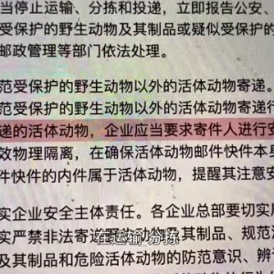 热点快追｜违规快递活体宠物为何屡禁不止？