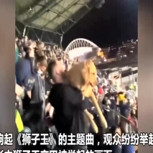 美国一棒球比赛中响起狮子王音乐 观众纷纷举起自家狗狗