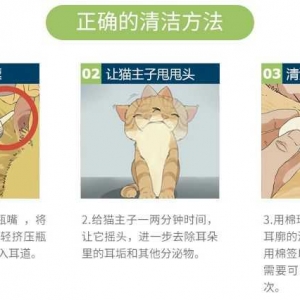 猫得了耳螨怎么治疗？