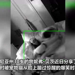 最惨铲屎官！美国一女子经常被两只追逐奔跑的宠物猫踩脸