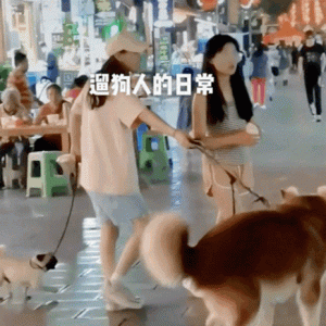 恩施：遛狗为了排泄？女子牵狗满街逛，“一举三得”