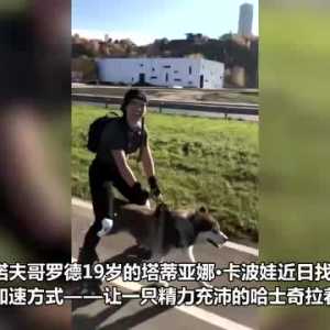 俄罗斯19岁女孩让哈士奇拉着自己在街上飞快地滑轮滑