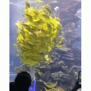 今天回家，顺便给弟弟买了几本书，看弟弟的表情就知道很高兴了
