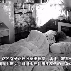 泰国一只猫在主人睡觉时打翻水杯 一杯水全部浇在主人头上
