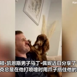 爆笑时刻！英国男子打喷嚏被宠物狗用爪子捂住口鼻