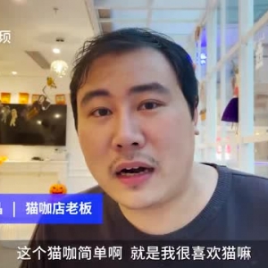 每只猫猫都值得一个温暖的家！上海一男子开月租5万猫咖收养流浪猫