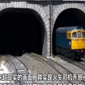 英国一猫咪探索主人的铁道模型 从隧道钻出可爱炸了