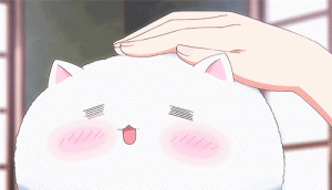 腮红猫猫系列表情包