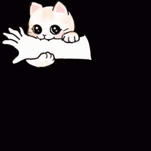 猫爱咬人，可咋整？
