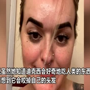 美国一女子喝醉后睡着 醒来发现宠物豚鼠咬掉她的刘海