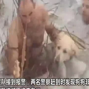 西班牙两警察跳入冰湖中救出落水金毛获赞