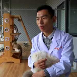 人间｜猫粮品尝师的日常：上班就撸猫，硬脆靠咬，咸淡得真尝