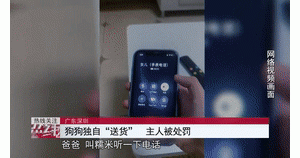 广东深圳：狗狗独自下楼“送水杯”，犬主被依法警告并罚款500元