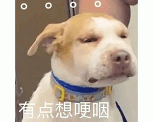 偷心小狗勾上线