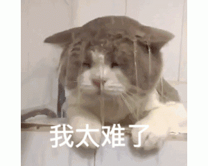 猫咪“感到痛苦”的表现，希望主人能重视
