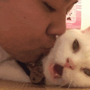 猫咪想要你亲亲时，会有这些表现，太可爱啦