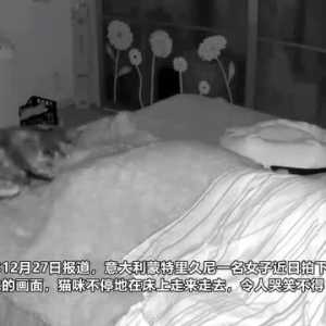 意大利一女子拍下和两只猫一起睡觉画面 猫咪在床上走动一夜