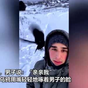 俄罗斯男子展示宠物乌鸦聪明表现 能听懂30种指令