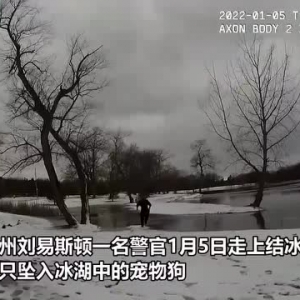 暖心！美国一名警官走上结冰的湖面营救一只落水的狗