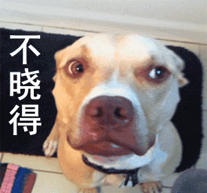 “脑子不太灵光”的6种狗，你家狗狗上榜了吗？