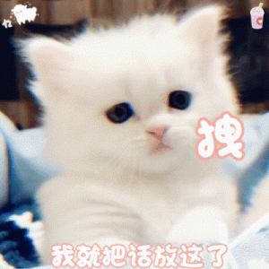 没钱不要养这几种猫，真正的四脚吞金兽，敢养的都是“牛人”