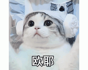 这些猫没有“攻击性”，很适合家养，网友：养了就不想换猫了