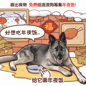 猫生鸡蛋？鸡生小猫？