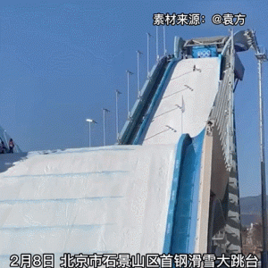 谷爱凌居然也养猫？网友评论笑死了！