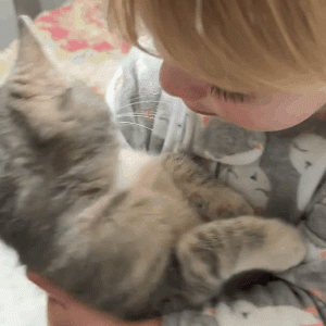 小奶猫为什么总躲着？因为铲屎官一见到它就流口水啊啊啊啊啊！