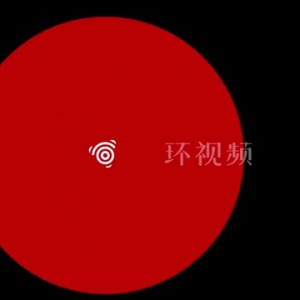 美洲狮闯入居民家后院攻击宠物狗 女主人尖叫将其吓跑