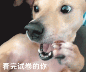 养了“都想哭”的6种狗，谁养谁后悔！