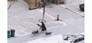 每日一笑，​让我吃完最后一口！