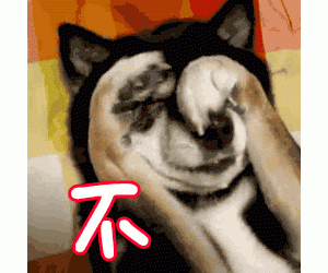 难怪狗狗会去闻铲屎官的“裤裆”，原来它是这样想的