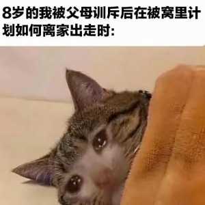 《委屈猫猫》较好地描述了我目前为止的人生！