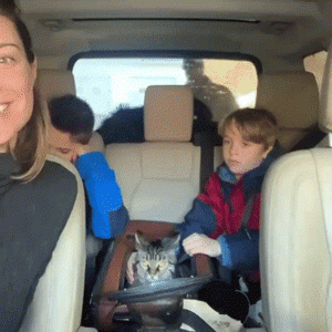 养了个认不清自己体型的大狗子……小主人：快救救我！