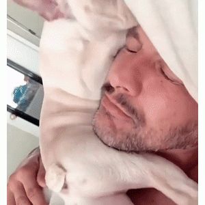 主人吐槽狗子的“叫醒服务”有点暴力……网友笑喷：这真不是在报私仇？