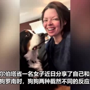加拿大女子分享亲吻男友宠物狗的爆笑时刻 狗狗全身写满抗拒