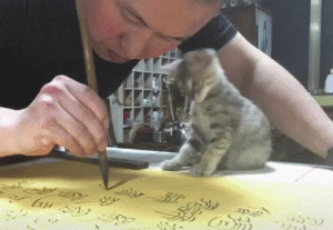 猫咪做这些事情，是在保护主人，别傻傻的不懂